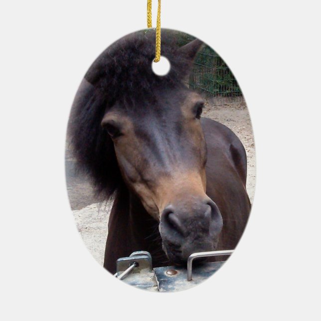 Ornamento De Cerâmica Animal, Cavalo, Pony (Verso)