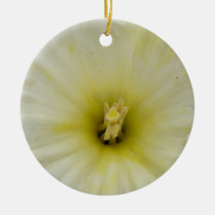 Ornamento De Cerâmica Aniversário bonito Pale Daffodil Personalizado