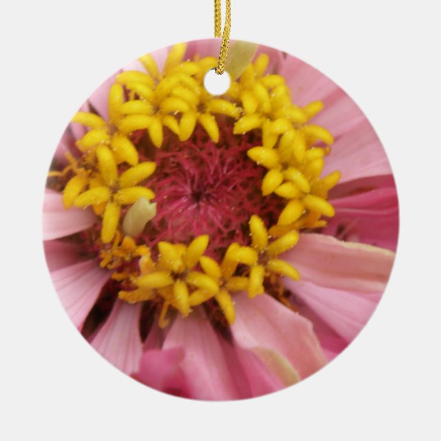 Ornamento De Cerâmica Aniversário Personalizado da Zinnia Rosa bonito (Frente)