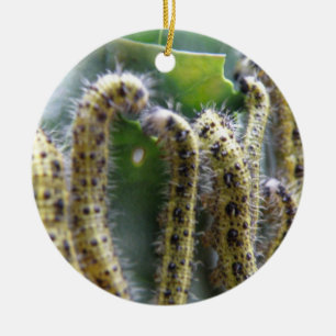 Ornamento De Cerâmica Aniversário Personalizado das Cataratas Brancas F