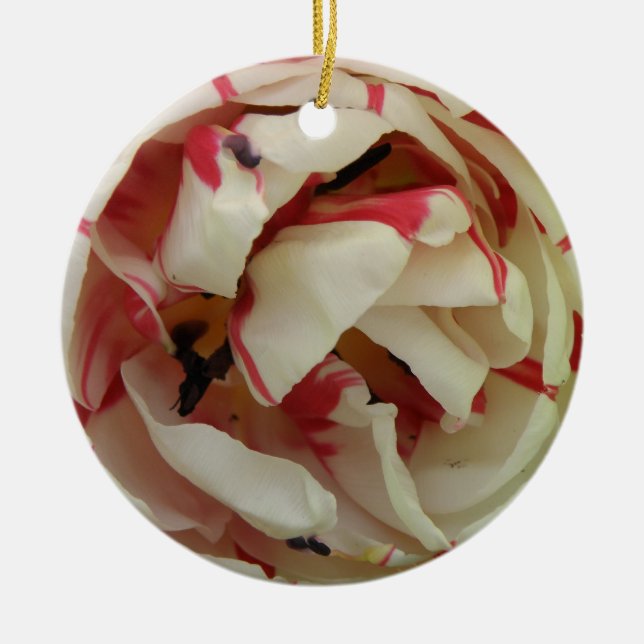 Ornamento De Cerâmica Aniversário Personalizado de Tulipas Rosa e Branca (Frente)