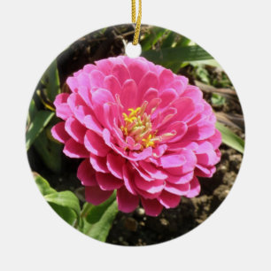 Ornamento De Cerâmica Aniversário Personalizado de Zinnia Rosa