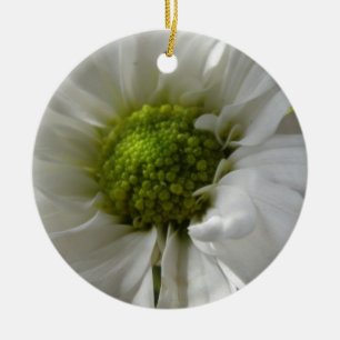 Ornamento De Cerâmica Aniversário Personalizado do Chrysanthemum Branco