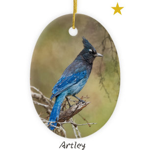 Ornamento De Cerâmica Ano de Natal da Pintura de Pássaros Jay Stellar