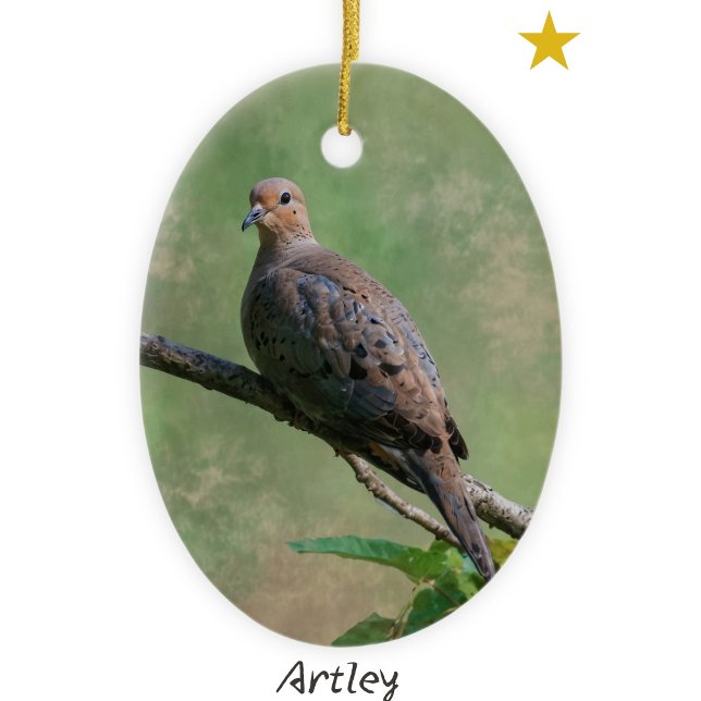 Ornamento De Cerâmica Ano de Pássaro de Luto Verde (Criador carregado)