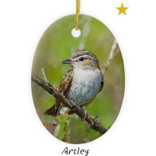 Ornamento De Cerâmica Ano de Pássaro Vermelho Verde Vireo