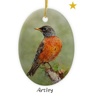 Ornamento De Cerâmica Ano de Pintura do Pássaro Robin Americano Laranja