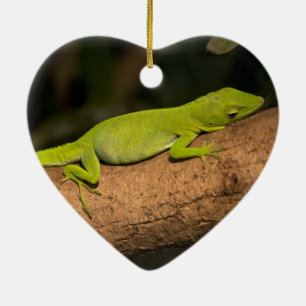 Ornamento De Cerâmica Anole gigante jamaicana