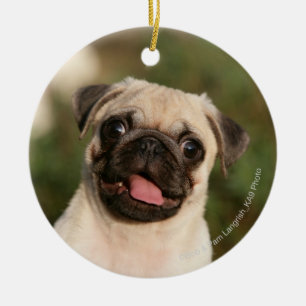 Ornamento De Cerâmica Ânsia do filhote de cachorro do Pug da jovem corça