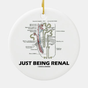 Ornamento De Cerâmica Apenas sendo renal (humor renal de Nephron do rim)