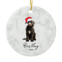 Aquarela Tuxedo Preto e Branco Goldendoodle