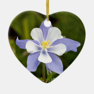 Ornamento De Cerâmica Aquilégia bonito