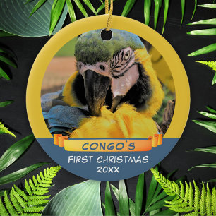 Ornamento De Cerâmica Ara Parrot Pet 1rua Fita de Natal Cerâmica