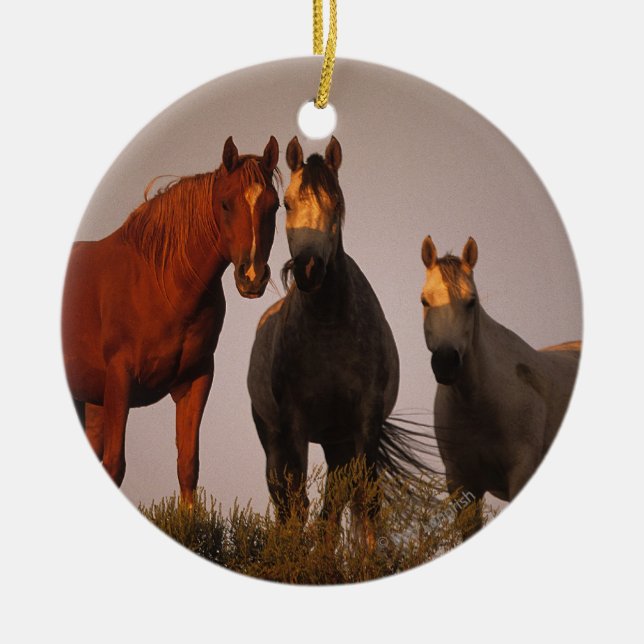 Ornamento De Cerâmica Árabes no por do sol (Frente)