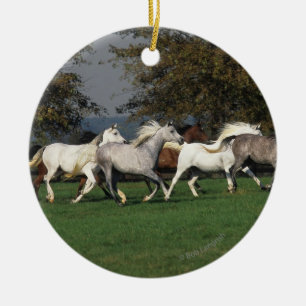 Ornamento De Cerâmica Árabes que funcionam no campo