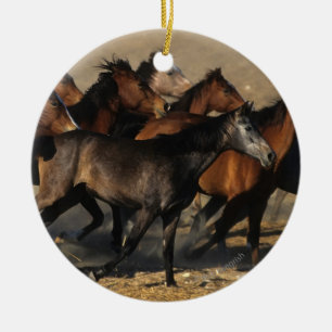 Ornamento De Cerâmica Árabes que funcionam no deserto