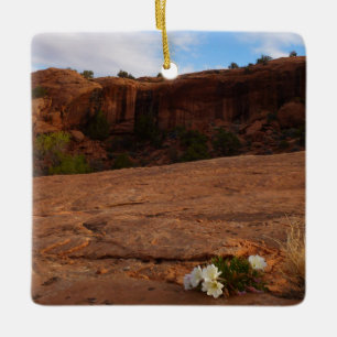 Ornamento De Cerâmica Arches Slickrock e Paisagem Primrose da Noite