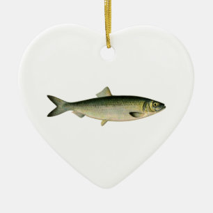 Ornamento De Cerâmica Arenques atlânticos do mar