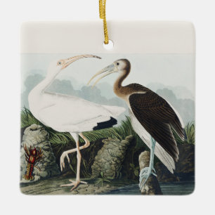 Ornamento De Cerâmica Arte da Natureza do Íbis Branco Audubon Vintage