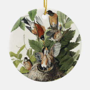 Ornamento De Cerâmica Arte de ninho de pássaro do antigo Robin Americano