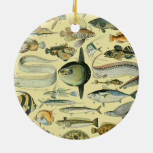 Ornamento De Cerâmica Arte De Pesca Científica Dos Peixes Vintage
