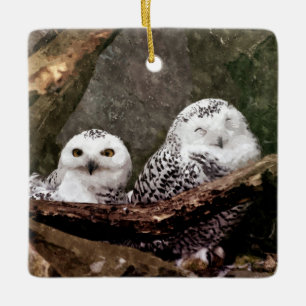 Ornamento De Cerâmica Arte de vida selvagem da floresta com casal de cor