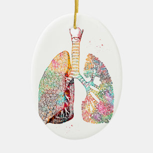 Ornamento De Cerâmica Arte dos pulmões