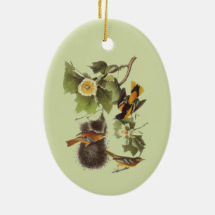 Ornamento De Cerâmica Arte Vintage de Pássaros Troupial de Audubon
