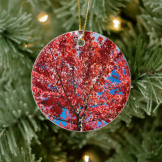 Ornamento De Cerâmica Árvore De Folha Vermelha Em Queda