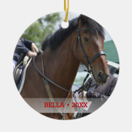 Ornamento De Cerâmica Árvore de Natal de Foto e Nome de Cavalo de Pet Pe