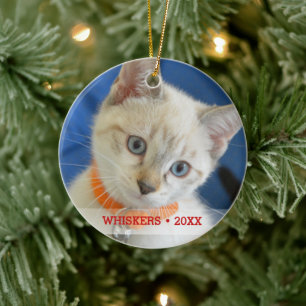 Ornamento De Cerâmica Árvore de Natal de Foto e Nome de Gato de Pet Per