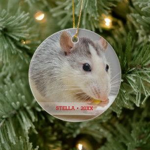 Ornamento De Cerâmica Árvore de Natal de Foto e Nome de Rato de Pet Per