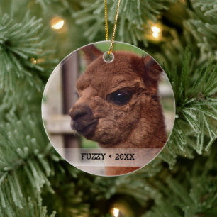 Ornamento De Cerâmica Árvore de Natal de Nome de Foto Pet Alpaca Person
