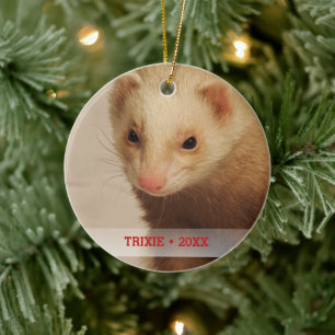Ornamento De Cerâmica Árvore de Natal de Nome de Foto Pet Ferret Person