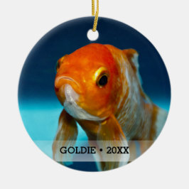 Ornamento De Cerâmica Árvore de Natal de Nome Personalizado de Peixes de