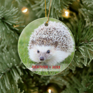 Ornamento De Cerâmica Árvore de Natal Personalizada de Foto Pet Hedgeho