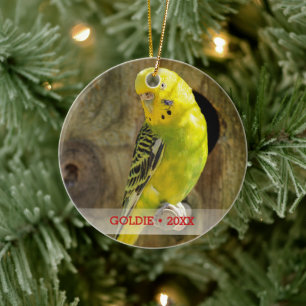 Ornamento De Cerâmica Árvore de Natal Personalizada de Pet Bird Fotogra