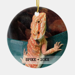 Ornamento De Cerâmica Árvore de Natal Personalizada de Pet Lizard