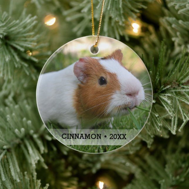 Ornamento De Cerâmica Árvore de Natal Personalizada Pet Guiné (Árvore)