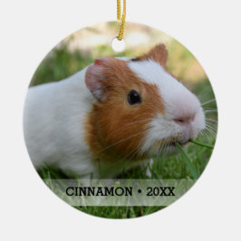 Ornamento De Cerâmica Árvore de Natal Personalizada Pet Guiné