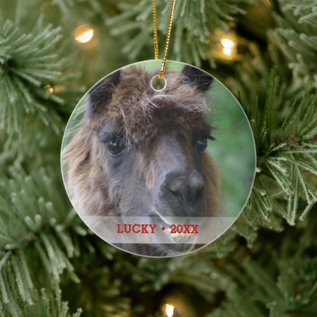 Ornamento De Cerâmica Árvore de Natal Personalizada Pet Llama (Árvore)