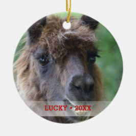 Ornamento De Cerâmica Árvore de Natal Personalizada Pet Llama
