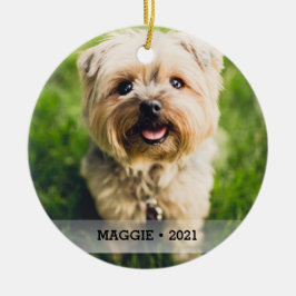 Ornamento De Cerâmica Árvore de Natal Personalizada Pet Photo de Dois La