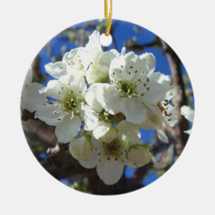 Ornamento De Cerâmica Árvore de pera de Primavera de Flor em Clusters B