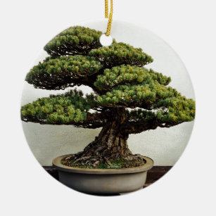 Ornamento De Cerâmica Árvore dos bonsais de White Pine do japonês