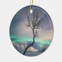 Árvore natural de queda de neve