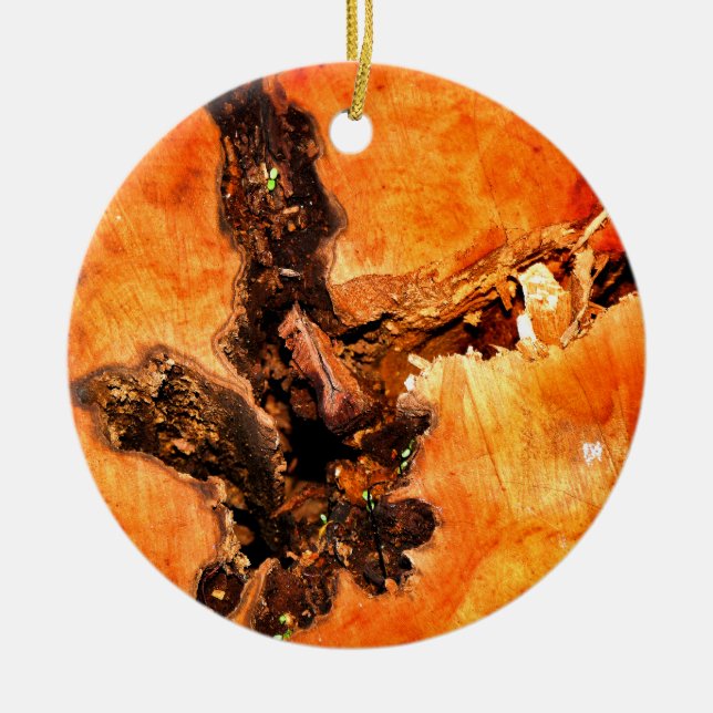 ORNAMENTO DE CERÂMICA ÁRVORES (Frente)