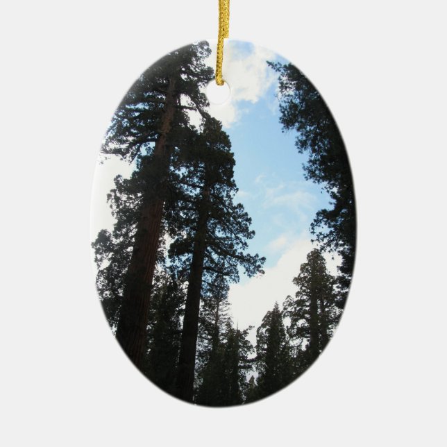 Ornamento De Cerâmica Árvores de Yosemite (Frente)