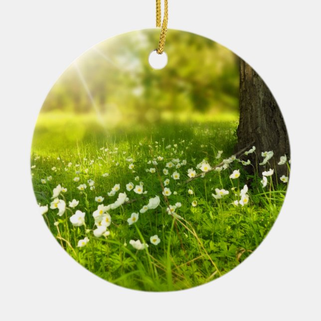 Ornamento De Cerâmica As alegrias da Primavera (Frente)