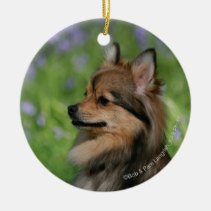 Ornamento De Cerâmica Assento do Headshot de Pomeranian